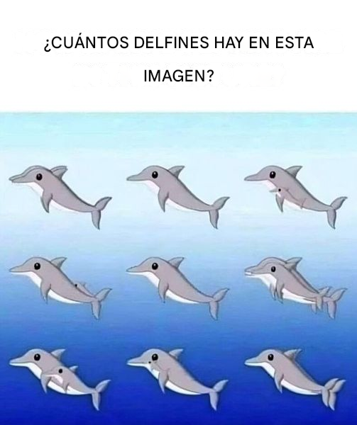 ¿Cuántos delfines hay en la imagen?